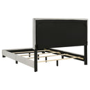 Dorian Panel Bed