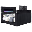 Tisdall Wingback TV Bed with Flame Visualizer