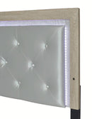 Crown Mark Furniture Jaylen Queen Upholstered Panel Bed in Gray