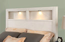 Karla Bed
