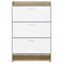 Denia Shoe Cabinet