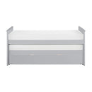 Orion-(4) Twin/Twin Bed with Twin Trundle image