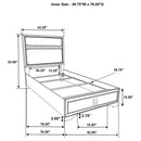 Miranda 2-Drawer Storage Bed