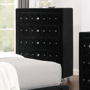 Zohar Chest Black