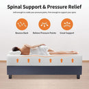 Forsythia 12" E.King Green Tea Gel Memory Foam