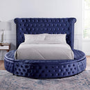 SANSOM E.King & Queen Bed, Black, Blue, & Grey