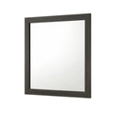 Crown Mark Furniture Remington Dresser Mirror in Brown image