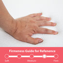 Hollyhock 3" Queen Tri-Fold Memory Foam Topper