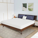 Nasturtium 8" E.King Bamboo Charcoal Infused Memory Foam