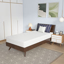 Nasturtium 8" Twin Bamboo Charcoal Infused Memory Foam